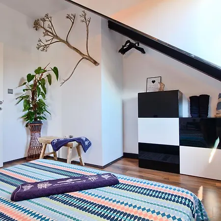 Sunny Stone ספליט